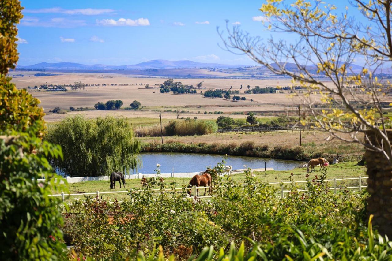 Landskroon Cottage Paarl Zewnętrze zdjęcie